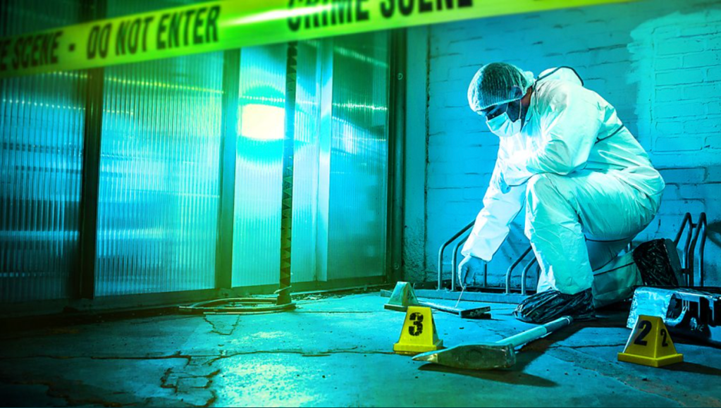 Review of Forensics: The Real CSI (BBC&nbsp;series)